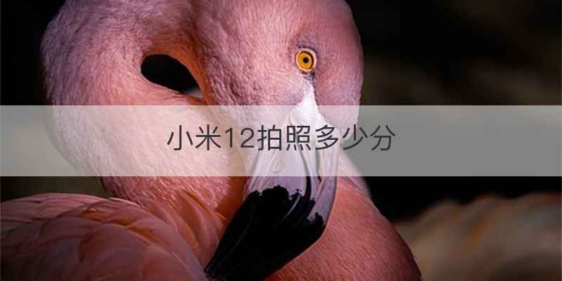 小米12拍照多少分
