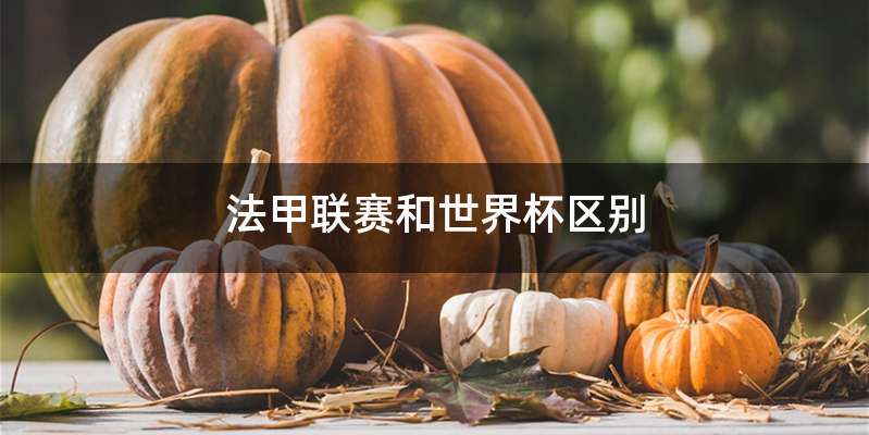 法甲联赛和世界杯区别