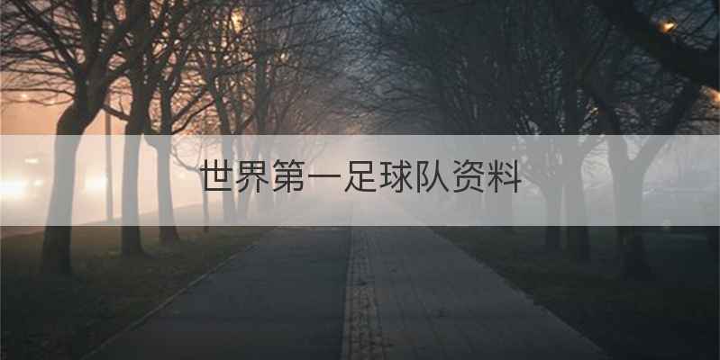 世界第一足球队资料