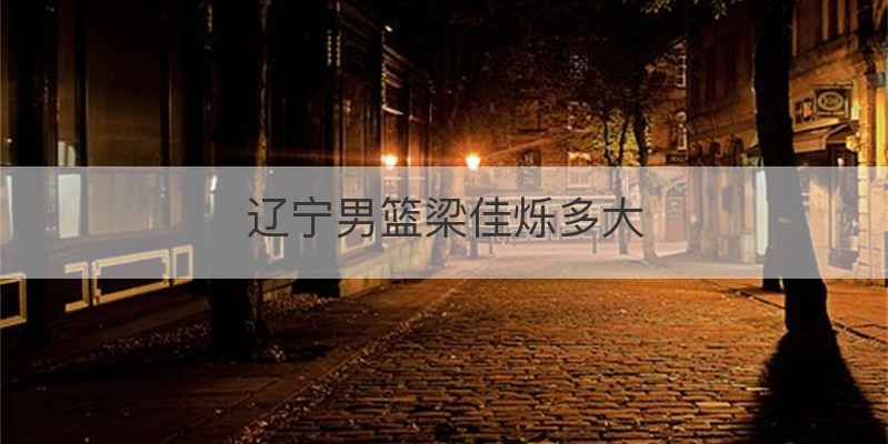 辽宁男篮梁佳烁多大