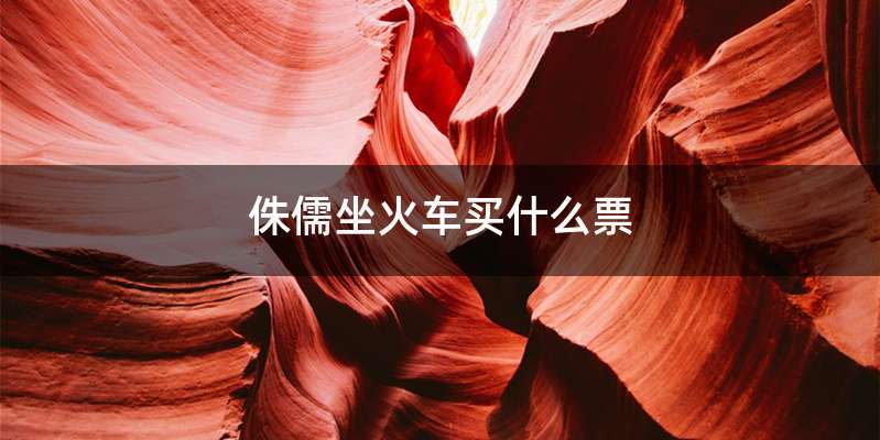 侏儒坐火车买什么票