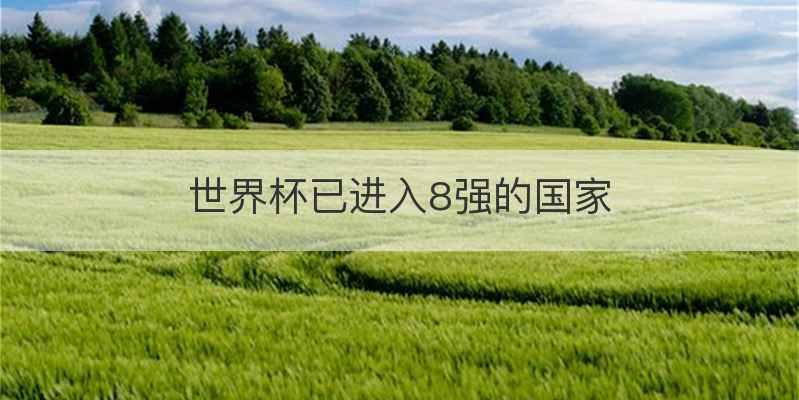 世界杯已进入8强的国家