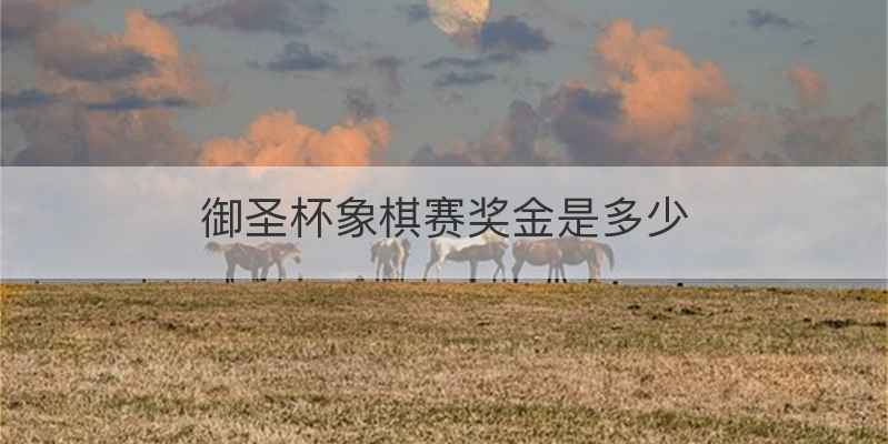 御圣杯象棋赛奖金是多少