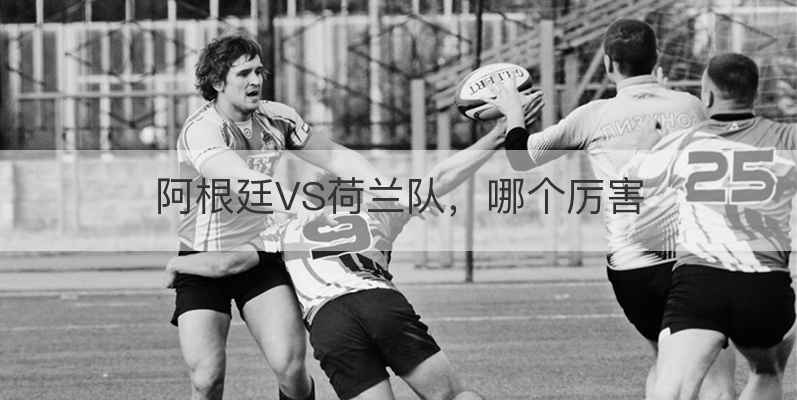 阿根廷VS荷兰队，哪个厉害