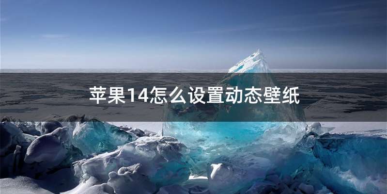 苹果14怎么设置动态壁纸
