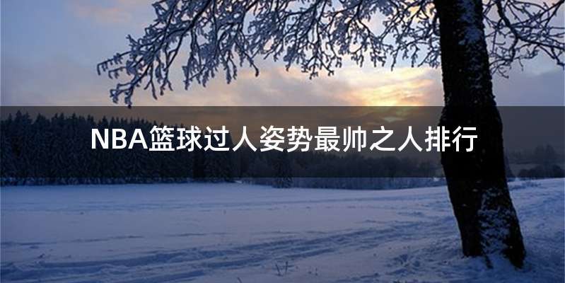 NBA篮球过人姿势最帅之人排行