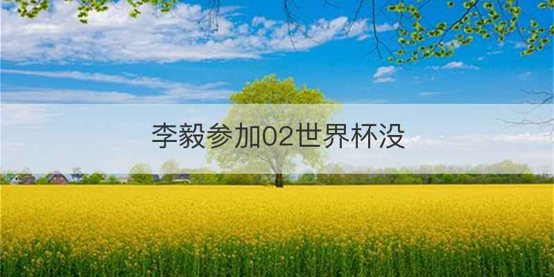 李毅参加02世界杯没