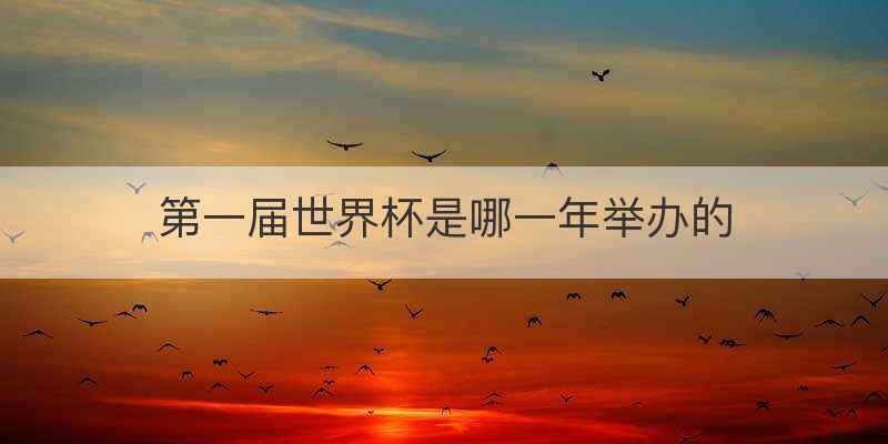 第一届世界杯是哪一年举办的