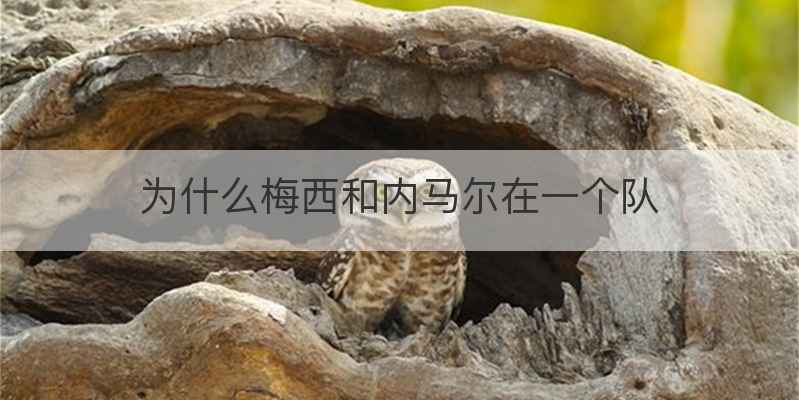 为什么梅西和内马尔在一个队