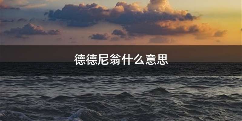 德德尼翁什么意思