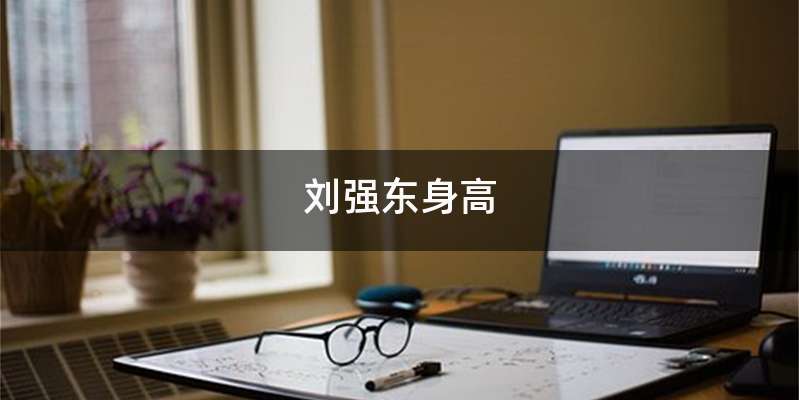 刘强东身高