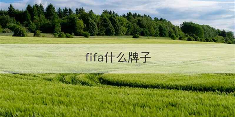 fifa什么牌子