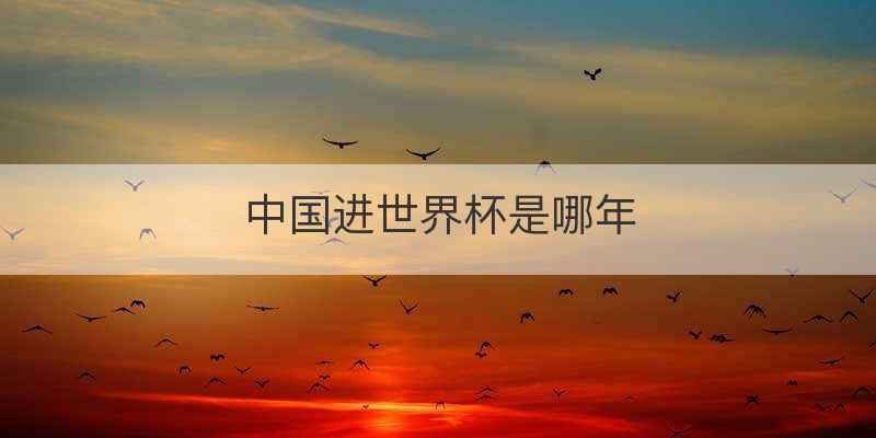 中国进世界杯是哪年