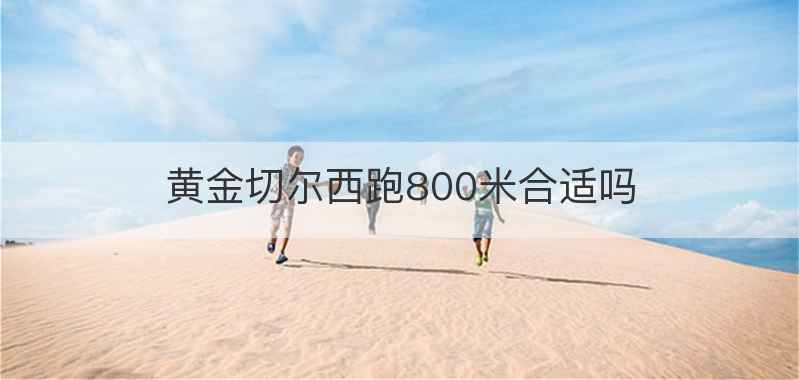 黄金切尔西跑800米合适吗