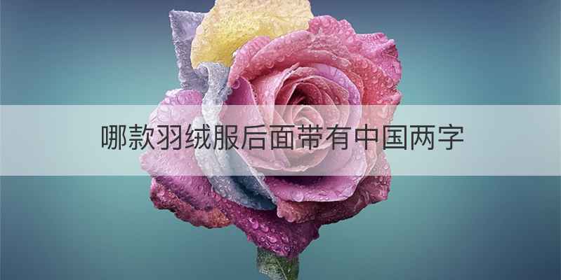 哪款羽绒服后面带有中国两字