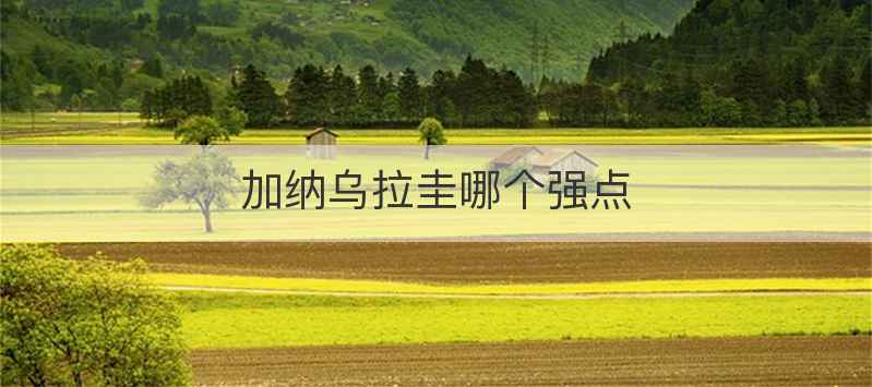 加纳乌拉圭哪个强点