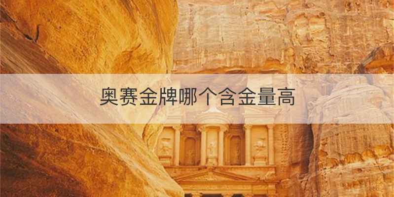 奥赛金牌哪个含金量高