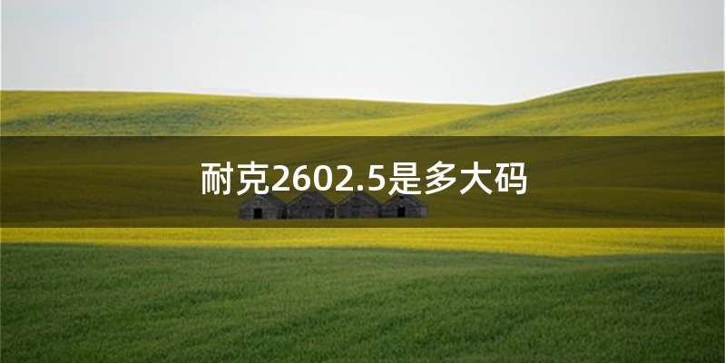 耐克2602.5是多大码