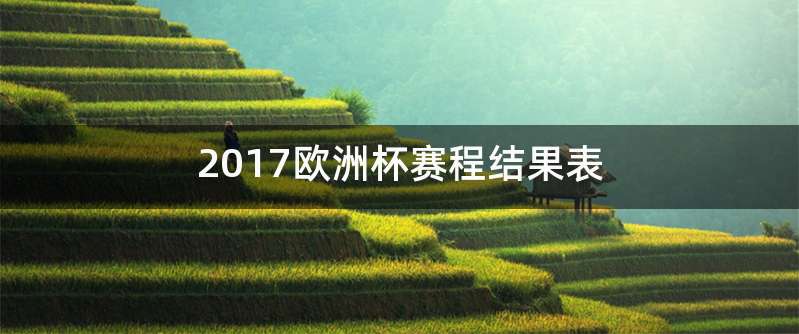 2017欧洲杯赛程结果表