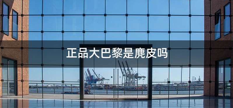 正品大巴黎是麂皮吗