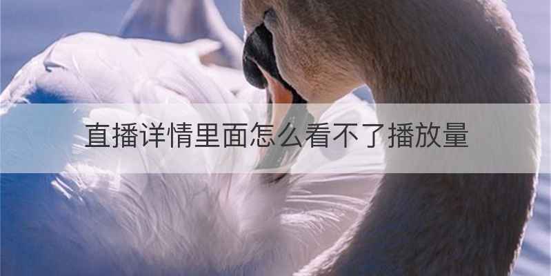 直播详情里面怎么看不了播放量