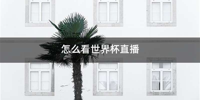 怎么看世界杯直播