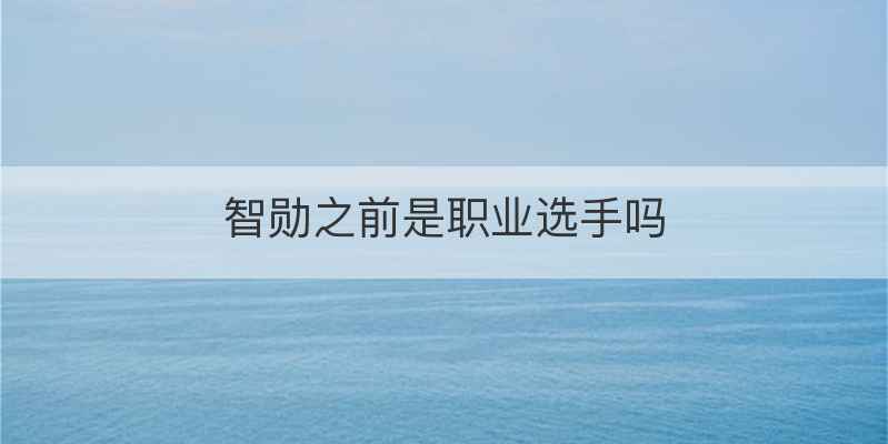 智勋之前是职业选手吗