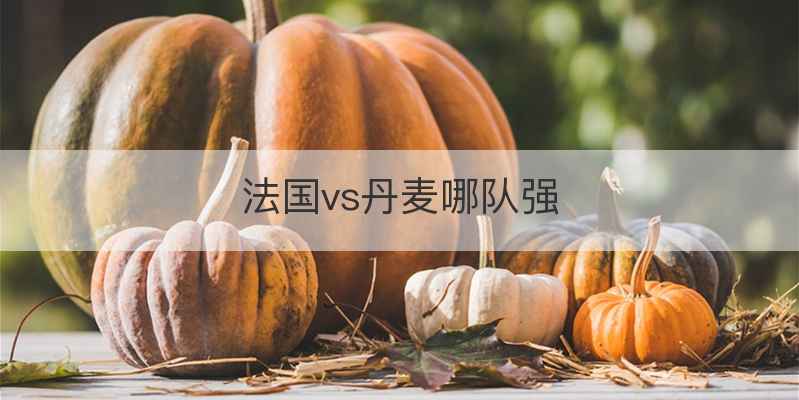法国vs丹麦哪队强