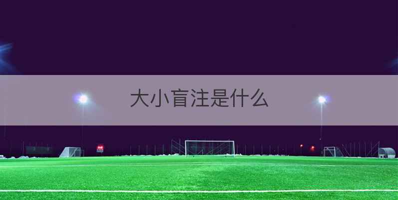 大小盲注是什么