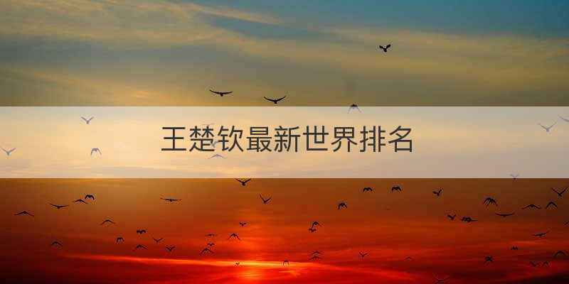 王楚钦最新世界排名