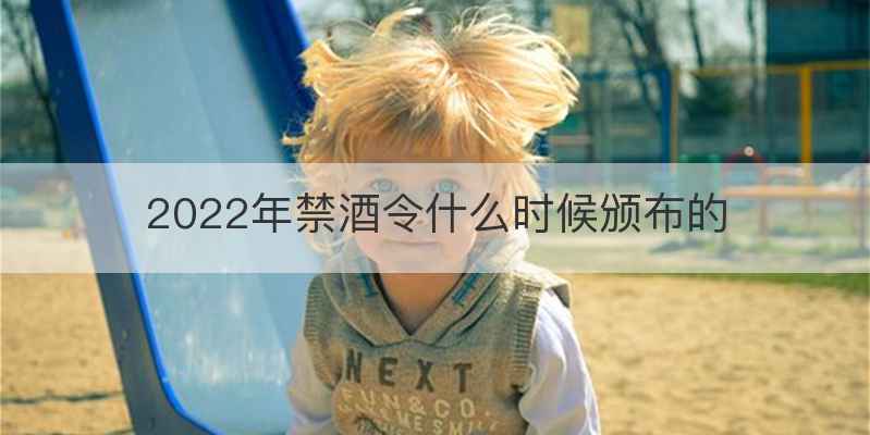2022年禁酒令什么时候颁布的