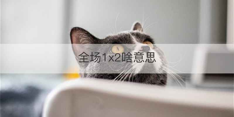 全场1x2啥意思