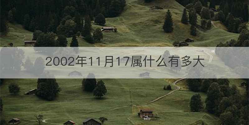 2002年11月17属什么有多大