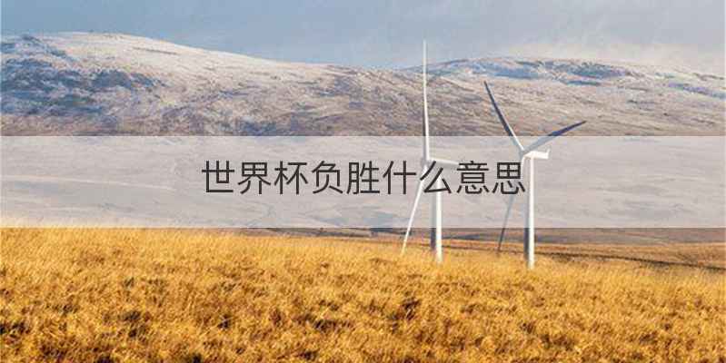世界杯负胜什么意思