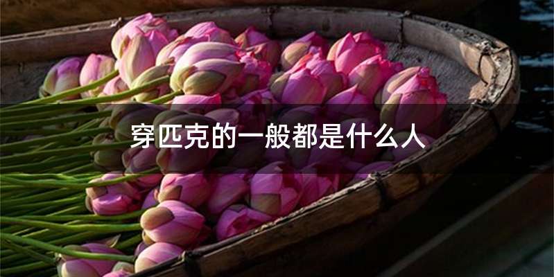 穿匹克的一般都是什么人