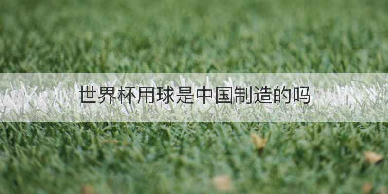 世界杯用球是中国制造的吗
