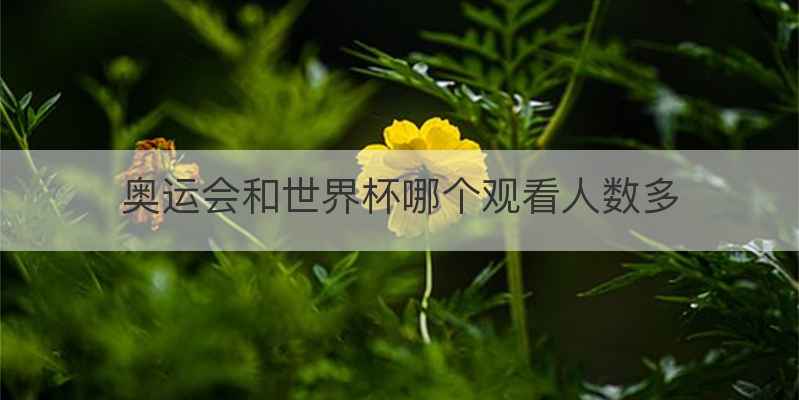 奥运会和世界杯哪个观看人数多