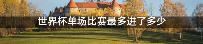 世界杯单场比赛最多进了多少