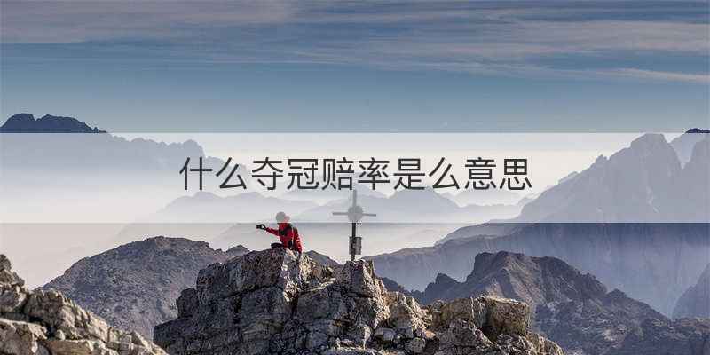 什么夺冠赔率是么意思