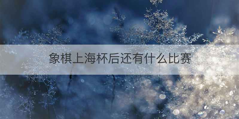 象棋上海杯后还有什么比赛