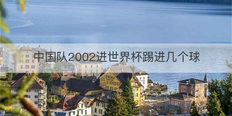 中国队2002进世界杯踢进几个球