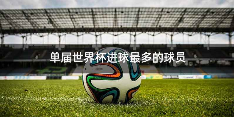 单届世界杯进球最多的球员