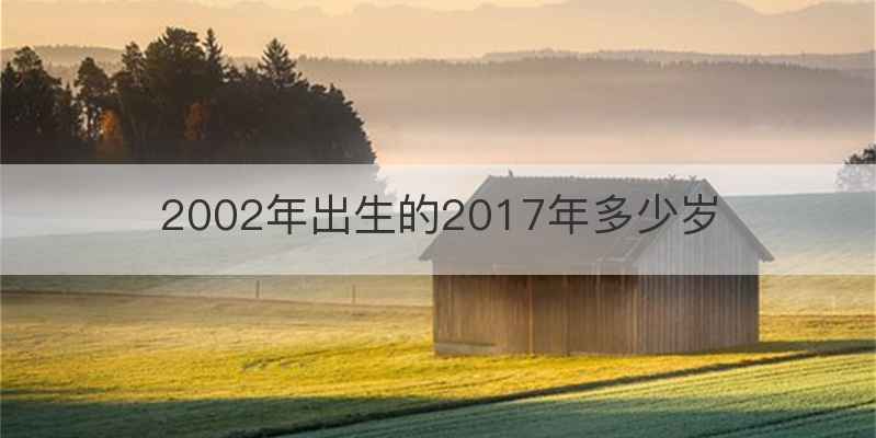 2002年出生的2017年多少岁