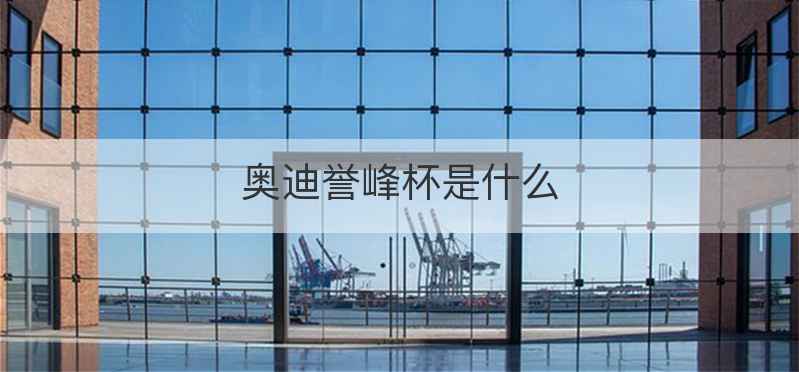 奥迪誉峰杯是什么