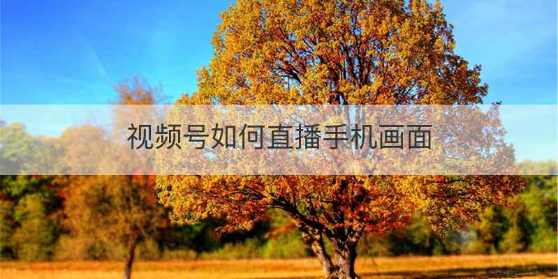视频号如何直播手机画面