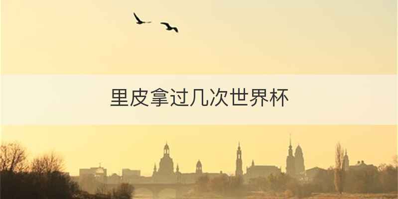 里皮拿过几次世界杯