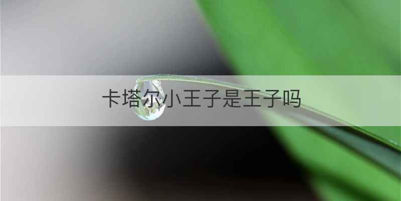 卡塔尔小王子是王子吗