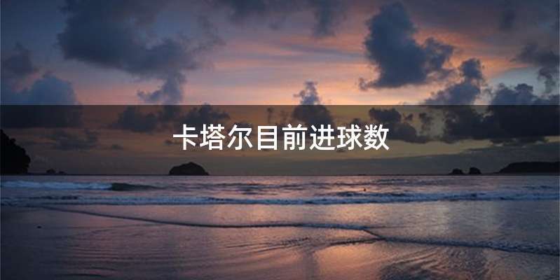 卡塔尔目前进球数