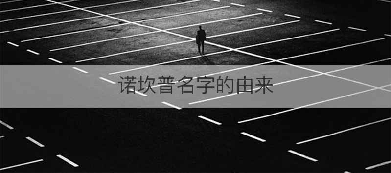 诺坎普名字的由来