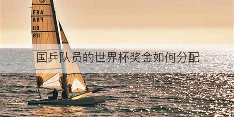 国乒队员的世界杯奖金如何分配